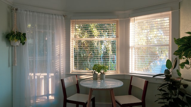 replacement windows in Fair Oaks, CA